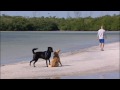 Southwest Florida Dog Parks