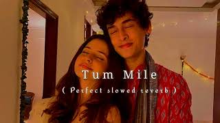 Tum Mile (Slowed reverb) | Javed Ali | Bipin Lofi | lofi