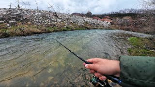 OGROMNA PASTRMKA MI POJURILA VOBLER NIZ VODU! - Varaličarenje Potočne Pastrmke u Martu