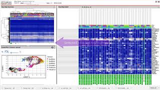 Next-Generation Clustered Heat Maps for Analyzing Single Cell Data