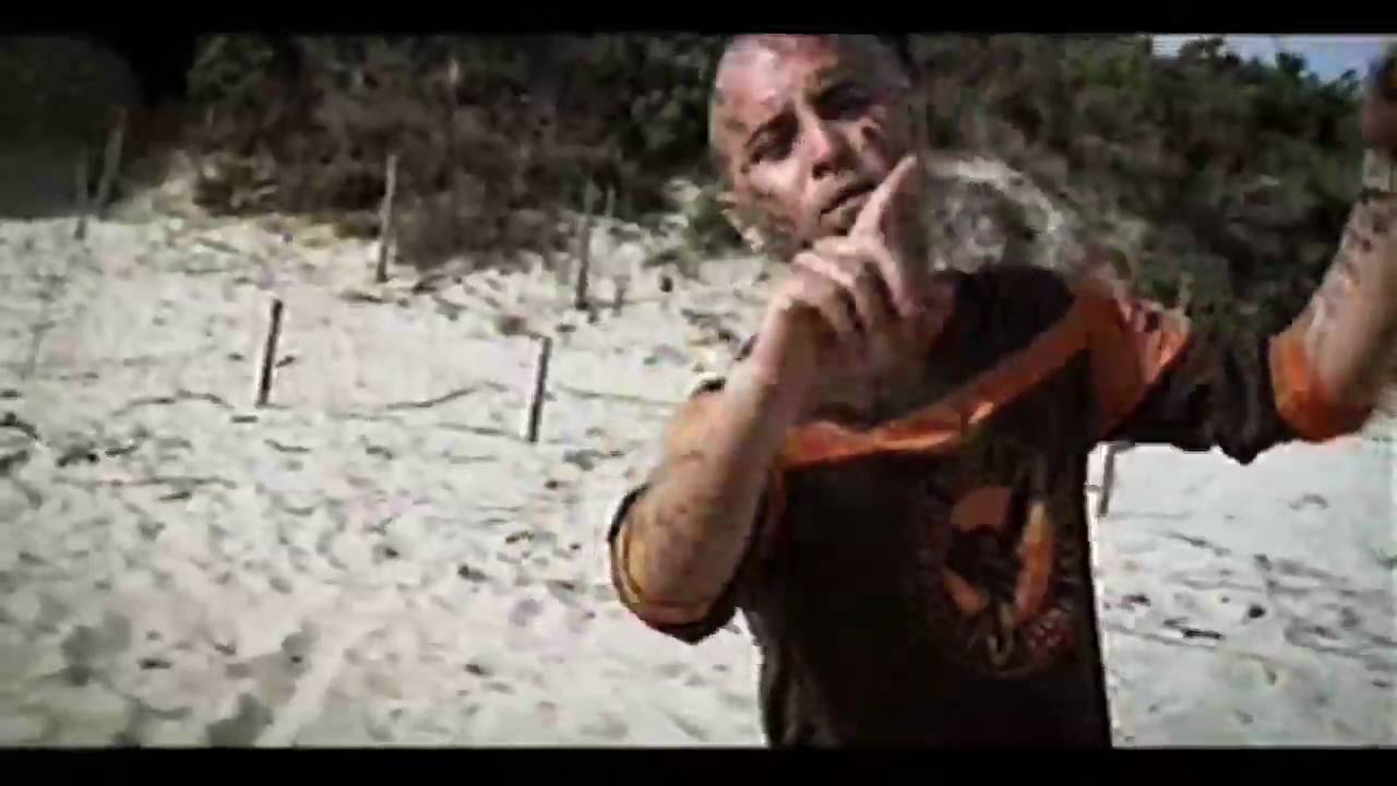 Negramaro Estate Chords Chordify