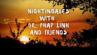 Nightingales with Brother Phap Linh (on Cello) and friends | Guided meditation with birdsong & music