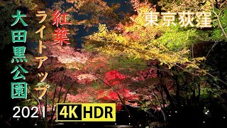 2021 大田黒公園の紅葉 - II ライトアップ(4K-HDR) Autumn Colors With Floodlights At Otaguro Park (UHD-HDR)