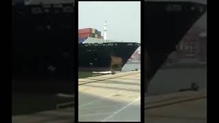 another ship crashing into shore