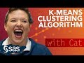SAS Tutorial | K-means Clustering Algorithm