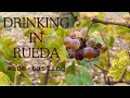 Rueda: visiting Spain's most FAMOUS white wine region!