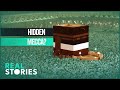 The Hidden Location Of The True Mecca? New Theory on Islam's Origins
