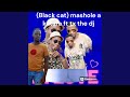 Mashole a katara ft tx the dj (Black cat)