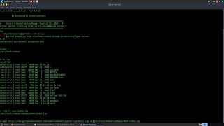 Apache Struts 2 RCE (CVE-2013-2251) ft. European Union