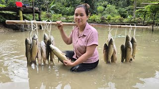 Catching Fish from the Pond and Cooking Delicious Meals | Farm Life with Lý Thị Ca