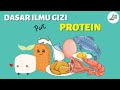 Yuk cari tau tau seputar PROTEIN I Dasar Ilmu Gizi