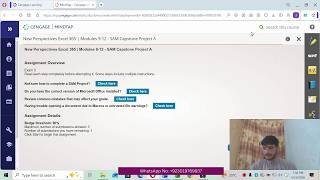New Perspectives Excel 365 | Modules 9-12: SAM Capstone Project A Tahoe Healthcare Consulting