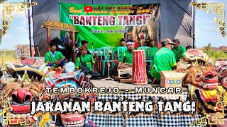 🇮🇩 LIVE JARANAN BANTENG TANGI DI TEMBOKREJO MUNCAR