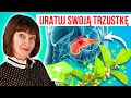 🌿 Jak leczyć chorą TRZUSTKĘ? 🌿 Trzustka. Objawy, BADANIA, naturalne metody wspomagania. cz.2