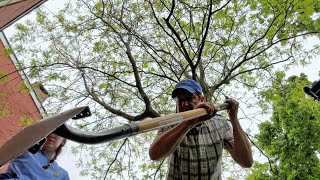 Unearthing History: UB students dig for pieces of the past near Michigan Street Baptist Church