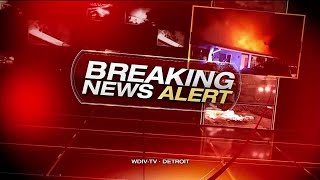 Prisoner accidentally released from jail