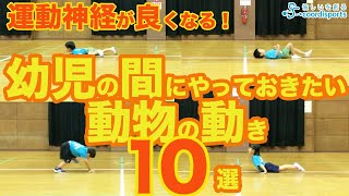 【スポーツ万能】運動神経が良くなる！幼児の間にやっておきたい動物の動き10選