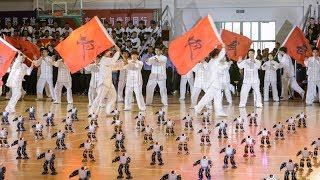 Over 1,000 robots perform kung fu choreography in China