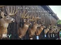 Rick Labbe's BUCK BASH | 10 Legendary Bucks in One Place | Big Woods Bucks