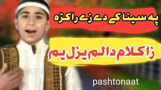Pashto Naat || Pa sena k de ze rakra || Pashto naaat || نعت شریف