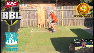 Perth Scorchers vs Brisbane Heat | BBL 12 | Backyard Cricket