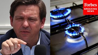 JUST IN: DeSantis Hints At Ending Taxes On Gas Stoves