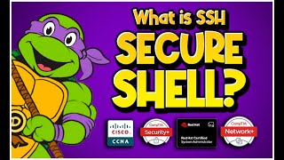 What is SSH Secure Shell? (CompTIA Network+ N10-008, Security+ SY0-601, A+ 220-1101)