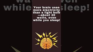 Did You Know