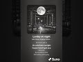Lonley at night