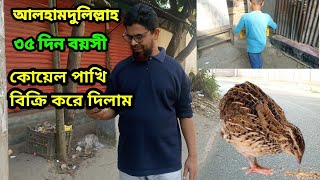 ৩৫ দিনের কোয়েল পাখি বিক্রি করে দিলাম। #birds #farm #pets