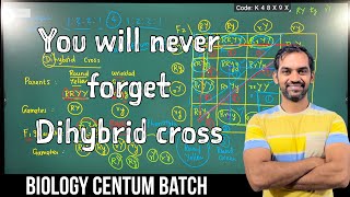 Dihybrid cross | Genetics