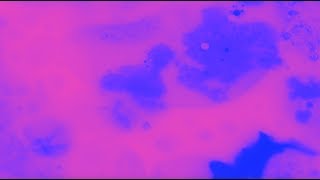 Processing Project 1: Space Odyssey Inspired Sequence