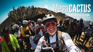 MEGACACTUS 2024 🌵| CIENTOS de CICLISTAS ATRAVESANDO el DESIERTO de TINAJAS ☠️ con un solo OBJETIVO 🎯