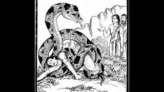 Yudhishthir Answers Nahush's Questions