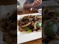 Peking Duck and Dumplings in Houston, Texas