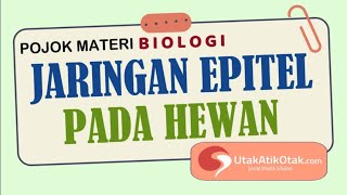 Jaringan Epitel Pada Hewan || MATERI BIOLOGI