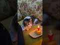 #happybirthday #cats #catvideo