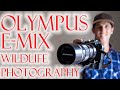 Olympus E-M1X Wildlife photography. Micro 4/3rds better than full frame CANON!?