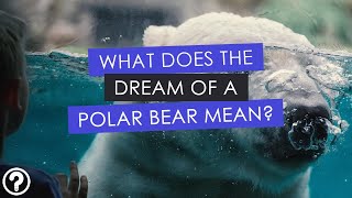 Dream of a polar bear - What does it mean? #shorts