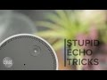 Alexa's skills: Useful, fun or downright dumb?