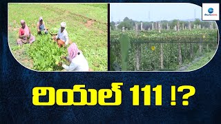 రియల్ 111!? | Real 111 GO | ZEE Telugu News