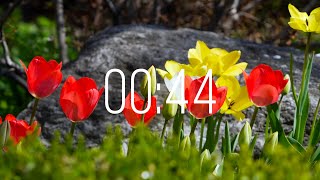 44 Second Timer with Music | Spring Timer🌹