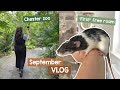 The best zoo in the world & new rats first free roam | VLOG