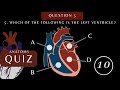 Can You Pass This Heart Anatomy and Physiology Quiz | Questions with Answers | #quiz #heartanatomy