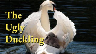 The Ugly Duckling by Hans Christian Andersen  | Full Audiobook |