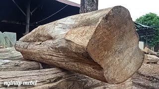 Tajam Semua Sisi. Proses Gergaji Banting Kayu Jati untuk Bahan Blandar 10 x 8 CM.