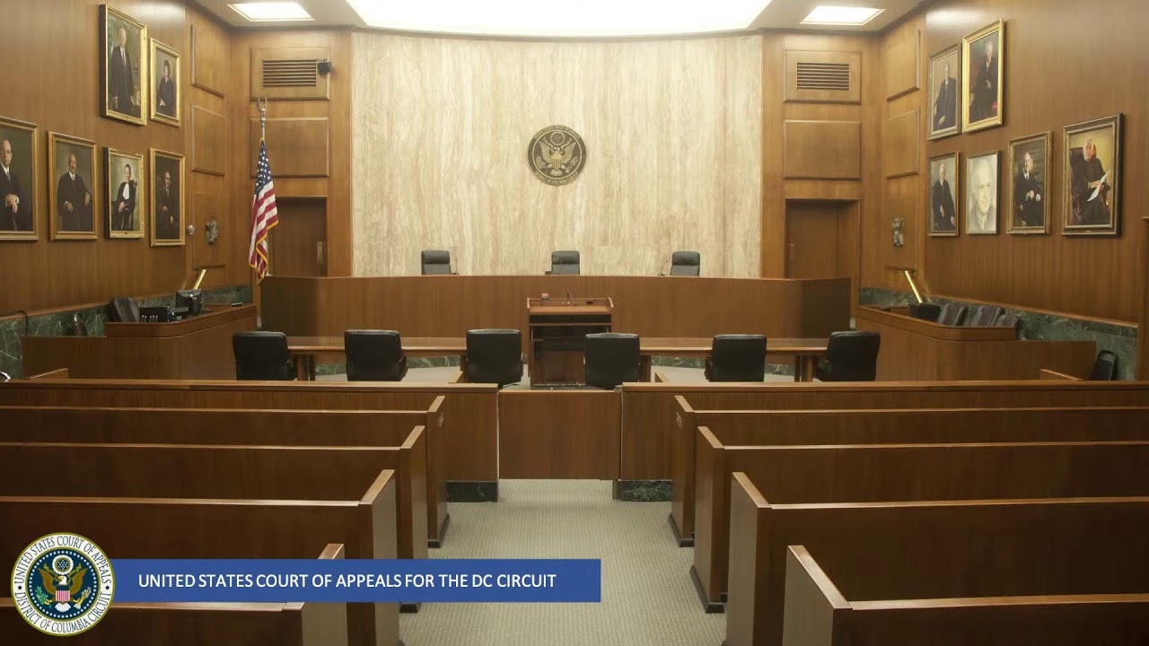 The United States Court Of Appeals For The DC Circuit - YouTube