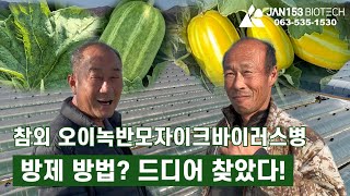 Ep.50 ✅ 참외 농가 후기 | 참외 얼룩이, 오이녹반모자이크바이러스 멈춘 비결은? 농가가 직접 말하는 솔루션!