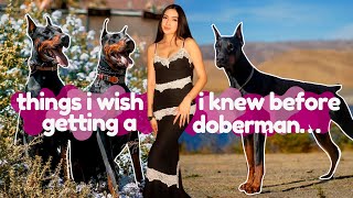 THINGS I WISH I KNEW BEFORE GETTING A DOBERMAN