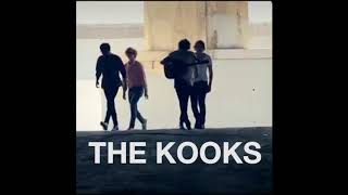 The Kooks en concierto - Lima Perú